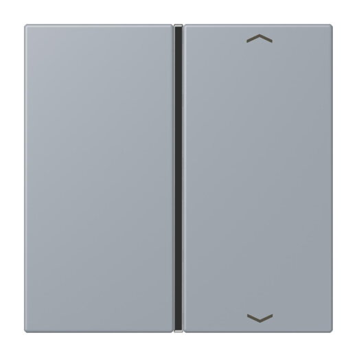 Jung Taste 1fach, mit Pfeilsymbolen, F40, Serie LS, gris clair 59 LC401TSAP257