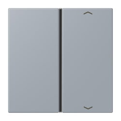 Jung Taste 1fach, mit Pfeilsymbolen, F40, Serie LS, gris...