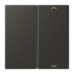 Jung Taste 1fach, mit Pfeilsymbolen, F40, Serie LS, ombre...