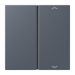 Jung Taste 1fach, mit Pfeilsymbolen, F40, Serie LS, gris...