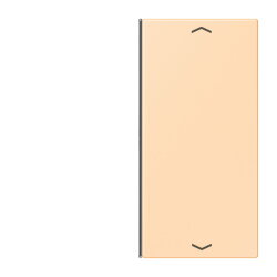 Jung Taste 2fach, mit Pfeilsymbolen, F40, Serie LS, ocre...