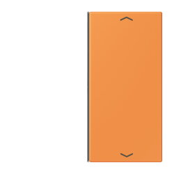 Jung Taste 2fach, mit Pfeilsymbolen, F40, Serie LS,...