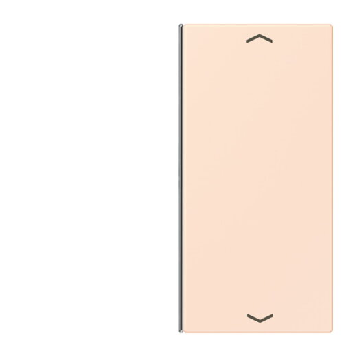 Jung Taste 2fach, mit Pfeilsymbolen, F40, Serie LS, orange pâle LC402TSAP226