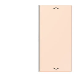 Jung Taste 2fach, mit Pfeilsymbolen, F40, Serie LS,...