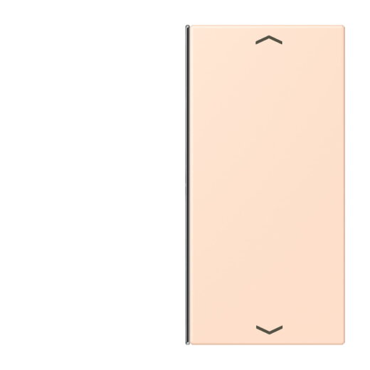 Jung Taste 2fach, mit Pfeilsymbolen, F40, Serie LS, rose pâle LC402TSAP228