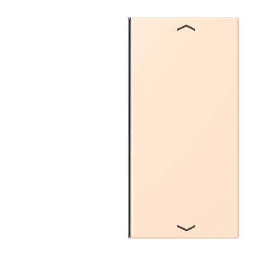 Jung Taste 2fach, mit Pfeilsymbolen, F40, Serie LS, terre sienne pâle LC402TSAP238