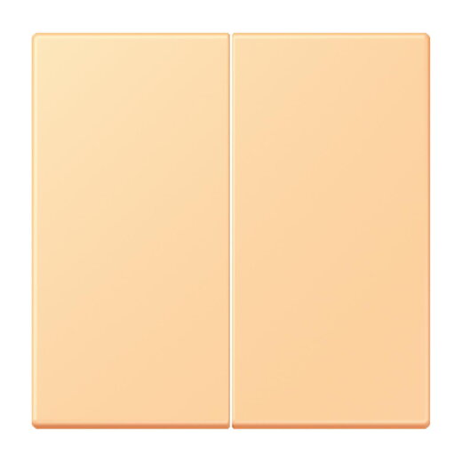 Jung Wippe für Taster 2fach, Serie LS, terre sienne claire 59 LC102258