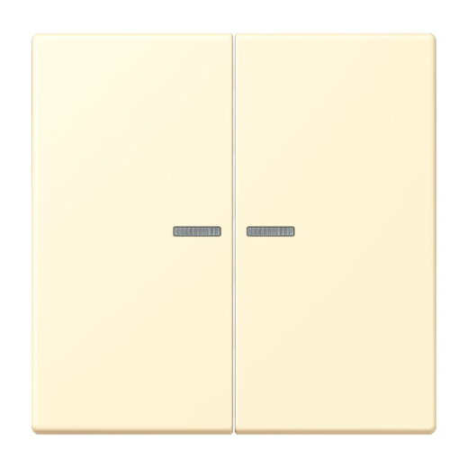 Jung Wippe 2fach mit Lichtleiter, Serie LS, blanc LC995KO5201