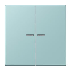 Jung Wippe 2fach mit Lichtleiter, Serie LS,...