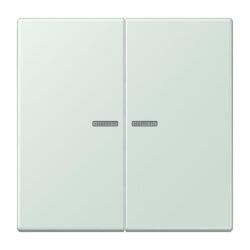 Jung Wippe 2fach mit Lichtleiter, Serie LS,...