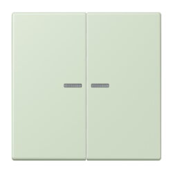 Jung Wippe 2fach mit Lichtleiter, Serie LS, vert...