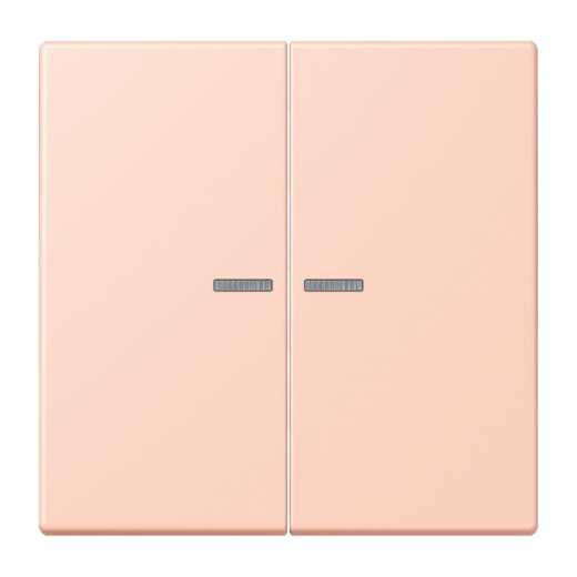 Jung Wippe 2fach mit Lichtleiter, Serie LS, locre rouge clair LC995KO5234