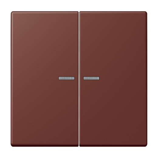 Jung Wippe 2fach mit Lichtleiter, Serie LS, terre sienne br?lée 31 LC995KO5235