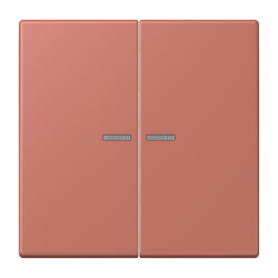 Jung Wippe 2fach mit Lichtleiter, Serie LS, terre sienne...