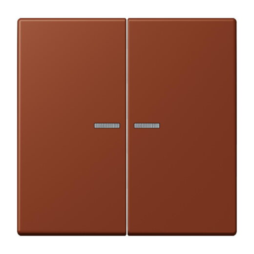 Jung Wippe 2fach mit Lichtleiter, Serie LS, terre sienne br?lée 59 LC995KO5247