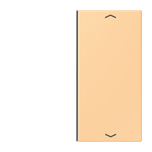 Jung Taste 2fach, mit Pfeilsymbolen, F40, Serie LS, terre sienne claire 59 LC402TSAP258