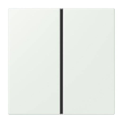 Jung Tastensatz 1fach, F40, Serie LS, outremer gris LC401TSA210