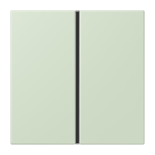 Jung Tastensatz 1fach, F40, Serie LS, vert anglâis pale LC401TSA218