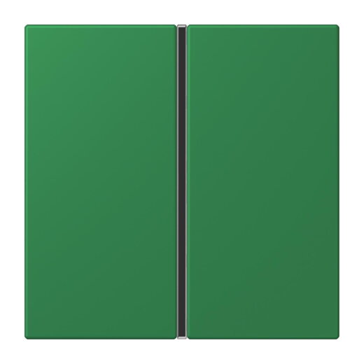 Jung Tastensatz 1fach, F40, Serie LS, vert foncé LC401TSA219