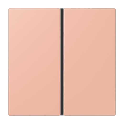 Jung Tastensatz 1fach, F40, Serie LS, rose clair LC401TSA231