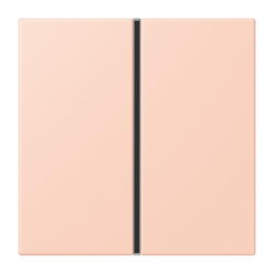 Jung Tastensatz 1fach, F40, Serie LS, locre rouge clair...