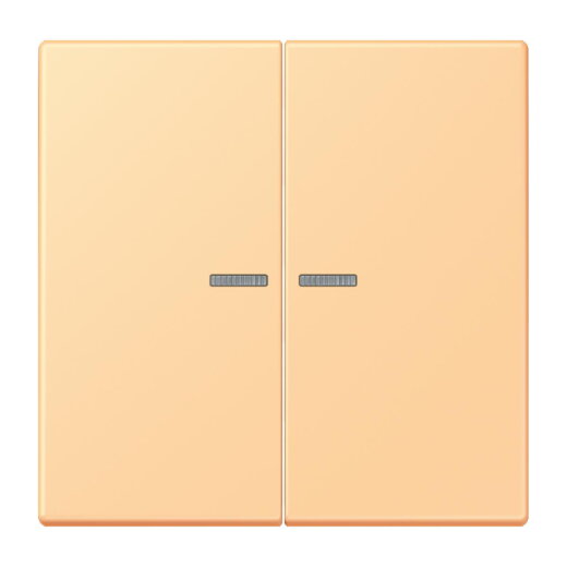 Jung Wippe 2fach mit Lichtleiter, Serie LS, terre sienne claire 59 LC995KO5258