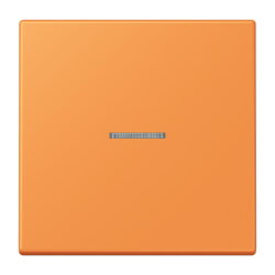 Jung Wippe 1fach mit Lichtleiter, Serie LS, orange clair...