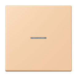 Jung Wippe 1fach mit Lichtleiter, Serie LS, terre sienne...