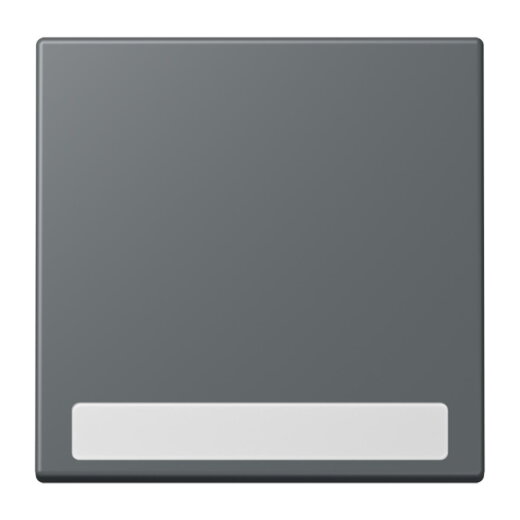 Jung Wippe 1fach, mit Schriftfeld, Serie LS, gris foncé 31 LC990NA202