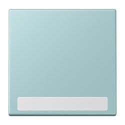 Jung Wippe 1fach, mit Schriftfeld, Serie LS,...