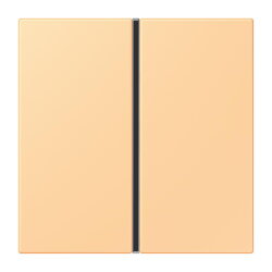 Jung Tastensatz 1fach, F40, Serie LS, terre sienne claire...