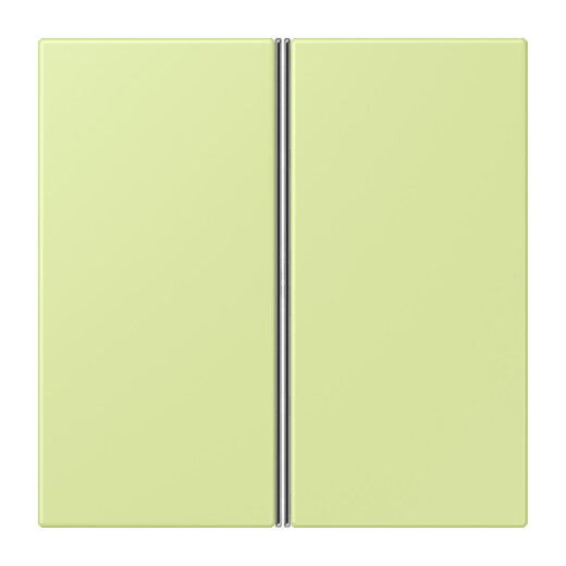 Jung Tastensatz 2fach, F40, Serie LS, vert jaune clair LC402TSA222