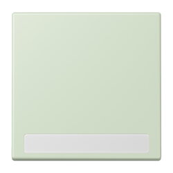 Jung Wippe 1fach, mit Schriftfeld, Serie LS, vert...