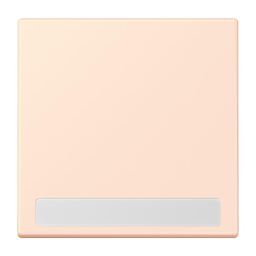 Jung Wippe 1fach, mit Schriftfeld, Serie LS, orange pâle LC990NA226