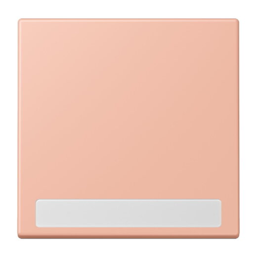 Jung Wippe 1fach, mit Schriftfeld, Serie LS, rose clair LC990NA231