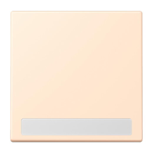 Jung Wippe 1fach, mit Schriftfeld, Serie LS, terre sienne pâle LC990NA238