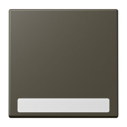 Jung Wippe 1fach, mit Schriftfeld, Serie LS, ombre...