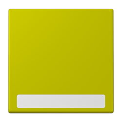 Jung Wippe 1fach, mit Schriftfeld, Serie LS, vert olive...