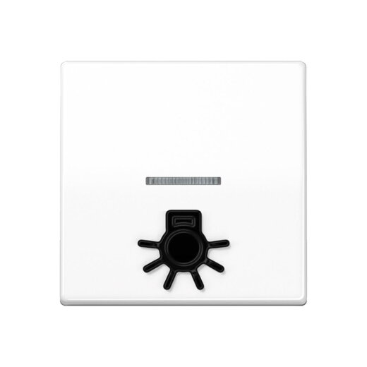 Jung Wippe 1fach mit Lichtleiter, mit abtastbarem Symbol Licht, Duroplast antimikrobiell, Serie AS, alpinweiß SPAS591L1KO5WW