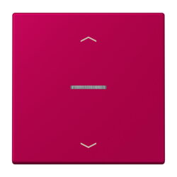 Jung Wippe mit Lichtleiter, mit Pfeilsymbolen für...