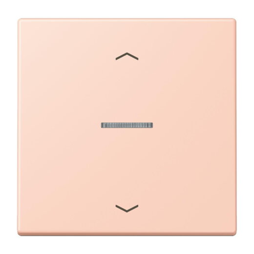 Jung Wippe mit Lichtleiter, mit Pfeilsymbolen für Taster 1fach, Serie LS, locre rouge clair LC101KO5P234