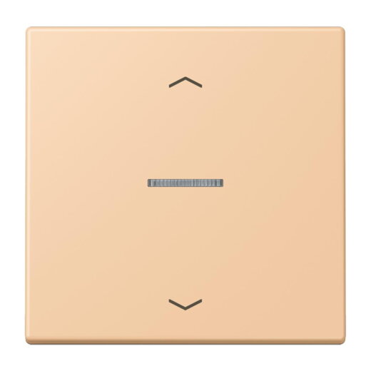 Jung Wippe mit Lichtleiter, mit Pfeilsymbolen für Taster 1fach, Serie LS, terre sienne claire 31 LC101KO5P237