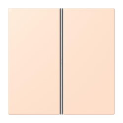 Jung Tastensatz 2fach, F40, Serie LS, rose pâle...