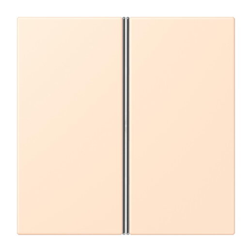 Jung Tastensatz 2fach, F40, Serie LS, terre sienne pâle LC402TSA238