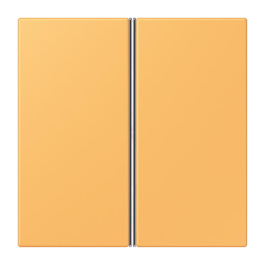 Jung Tastensatz 2fach, F40, Serie LS, ocre jaune clair LC402TSA254