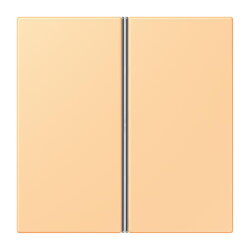 Jung Tastensatz 2fach, F40, Serie LS, terre sienne claire...