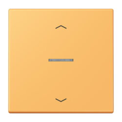 Jung Wippe mit Lichtleiter, mit Pfeilsymbolen für...