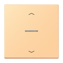 Jung Wippe mit Lichtleiter, mit Pfeilsymbolen für...