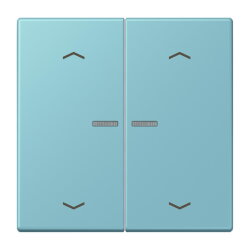 Jung Wippe mit Lichtleiter, mit Pfeilsymbolen für...