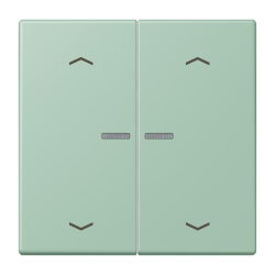 Jung Wippe mit Lichtleiter, mit Pfeilsymbolen für...